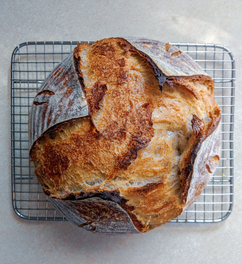 Sourdough: How to Use a Gram Scale/Digital Kitchen Scale 