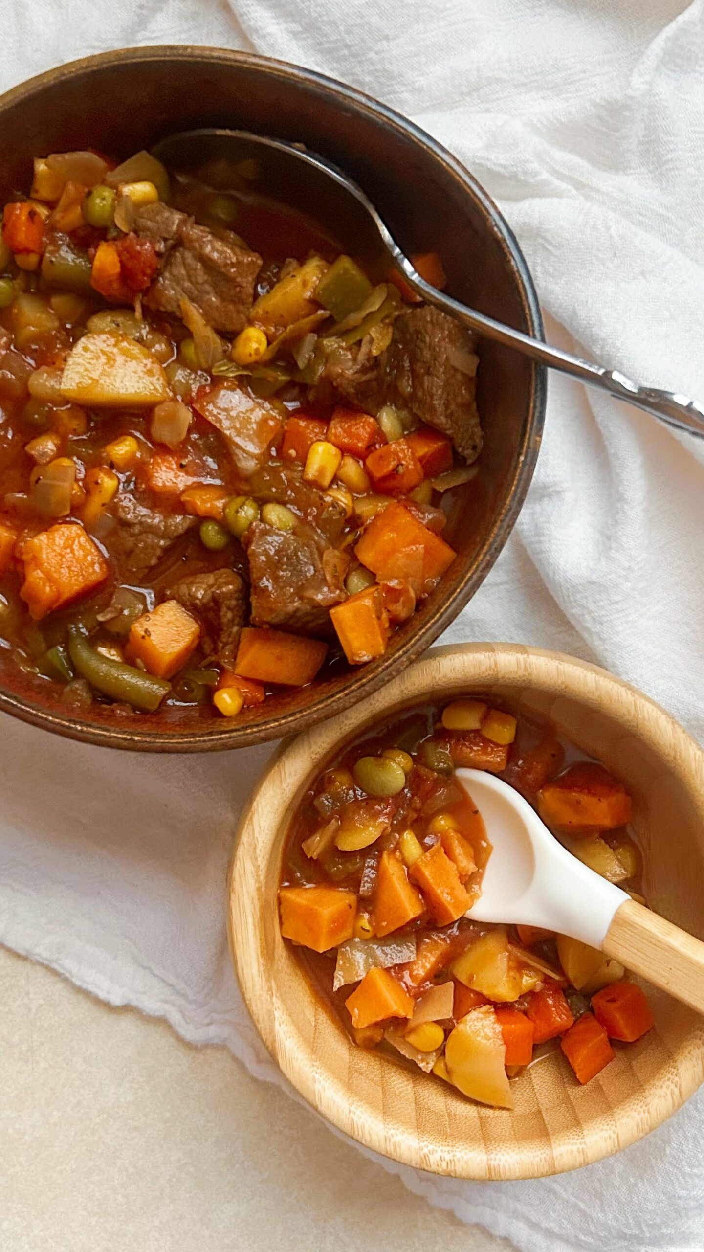 Beef and Veggie Soup